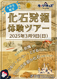 フライヤー31