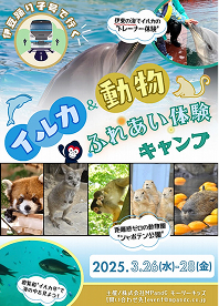 フライヤー33